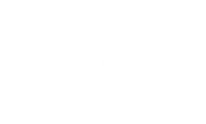 Team-Synergy
