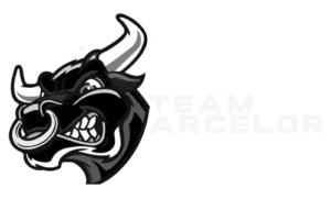 arcelor